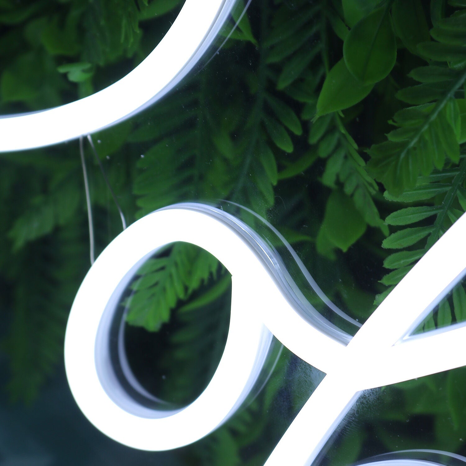 Robertson White Led Neon Sign - Shineneon
