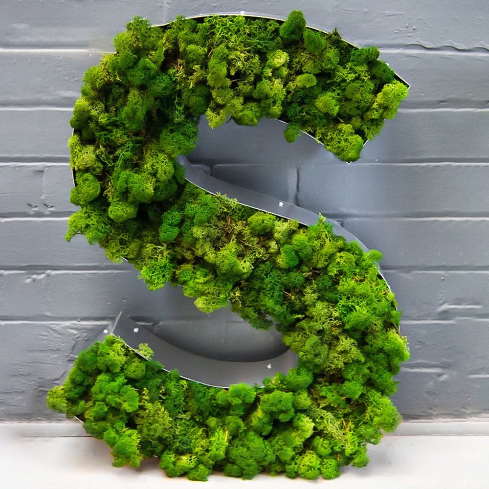 S 3D Moss Letter Sign - Shineneon