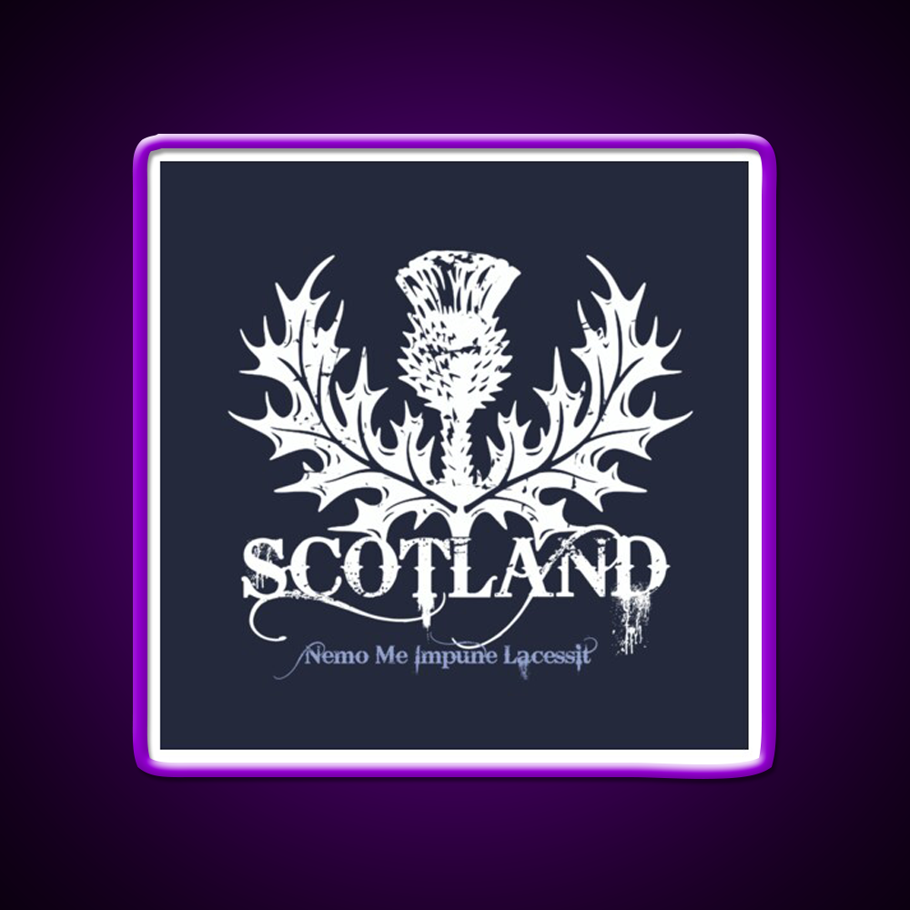 Scotland Whiskey Drink Bar Led Neon Sign Rgb Color