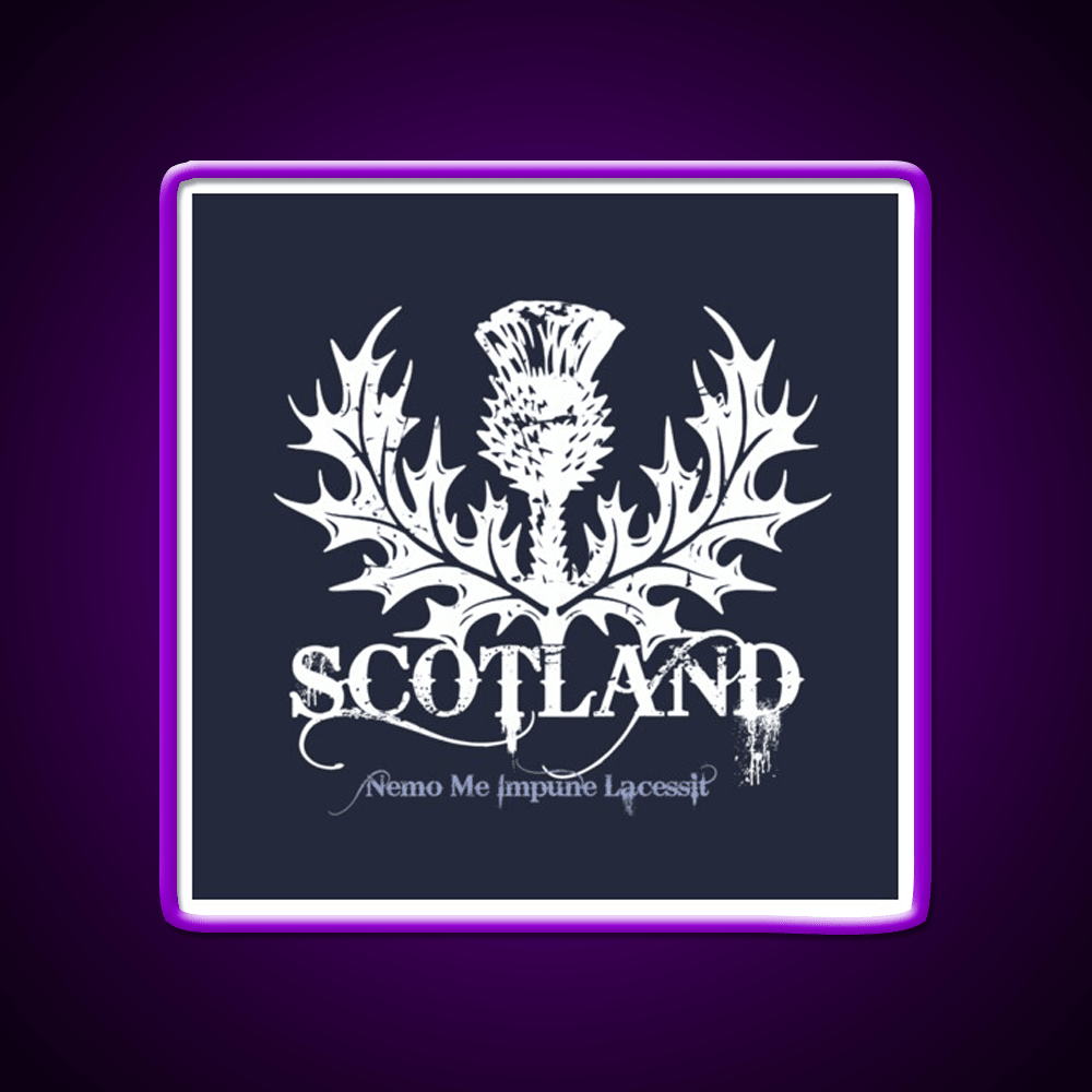 Scotland Whiskey Drink Bar Led Neon Sign Rgb Color - Shineneon