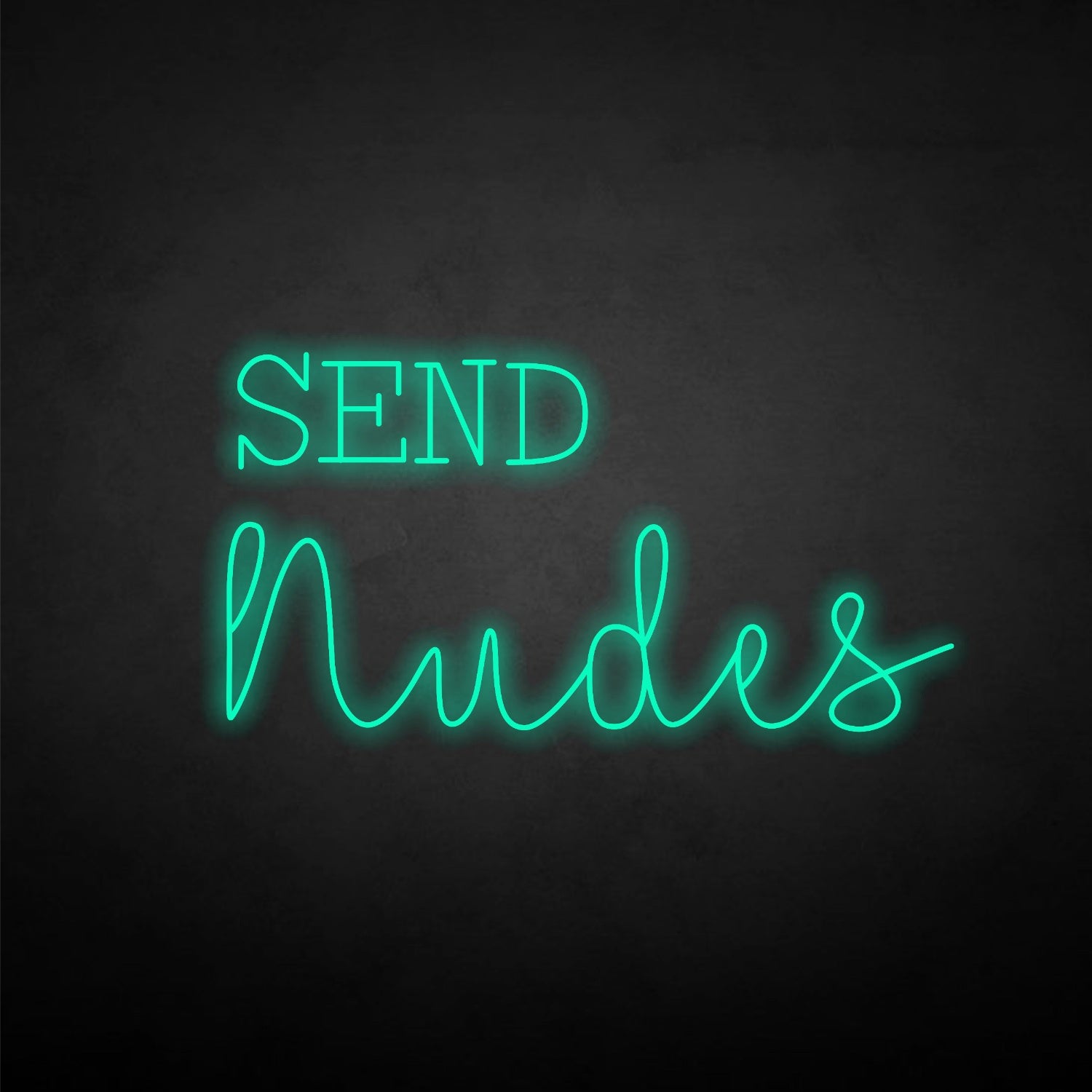 Send Nudes Led Neon Sign | Shineneon