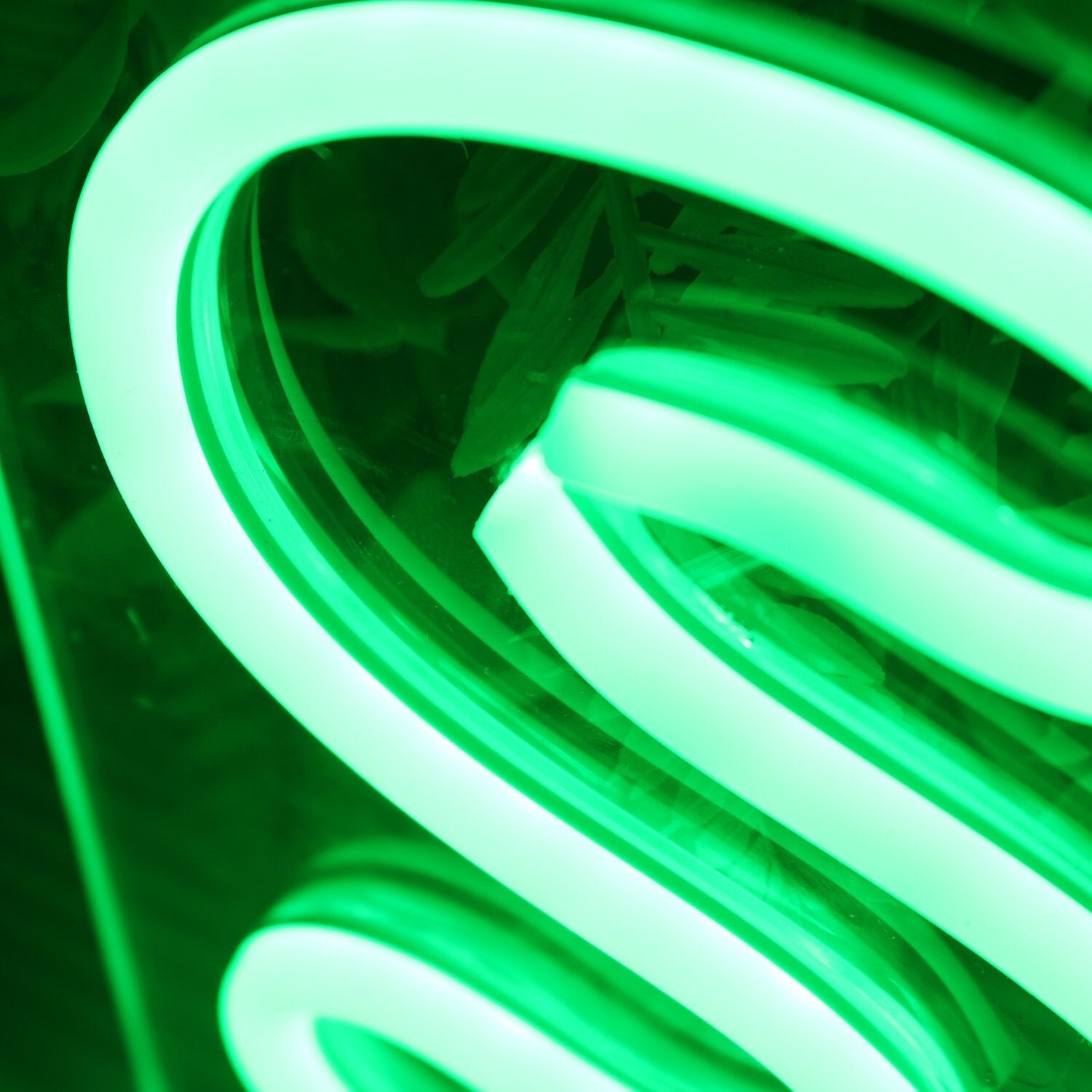 Shaw Green Led Neon Sign - Shineneon