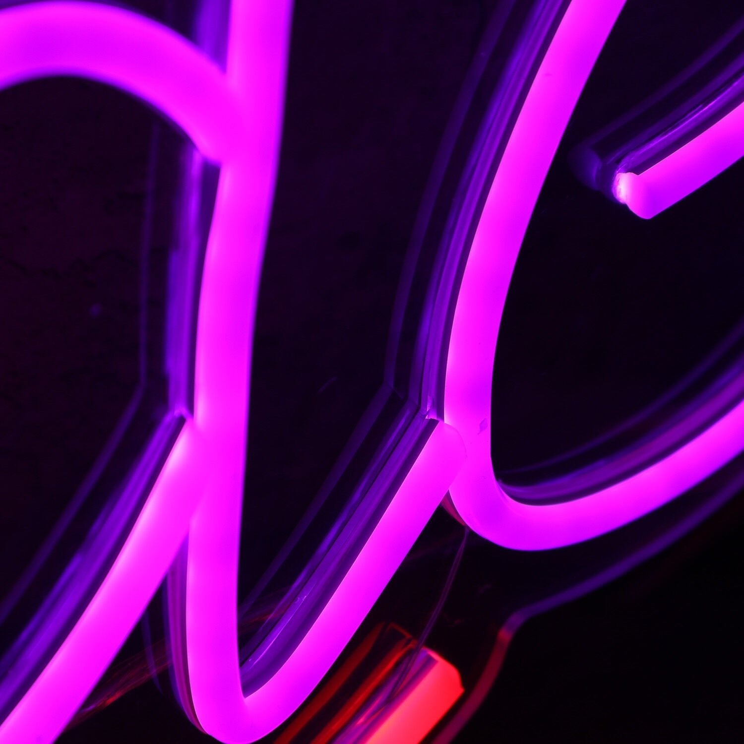 Show Raide Custom Led Neon Sign - Shineneon