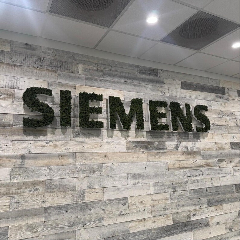 Siemens 3D Moss Letter Sign - Shineneon