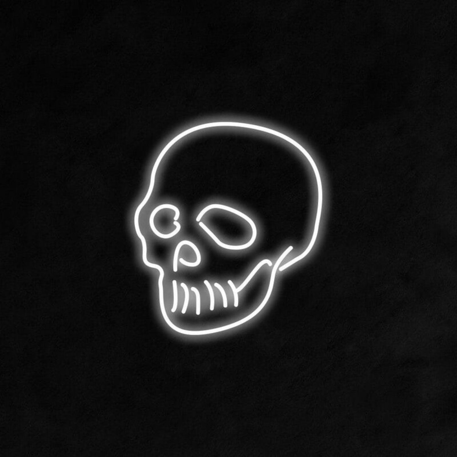 Skull Neon Sign Ideal For Edgy And Halloween-Themed Decor | Shineneon