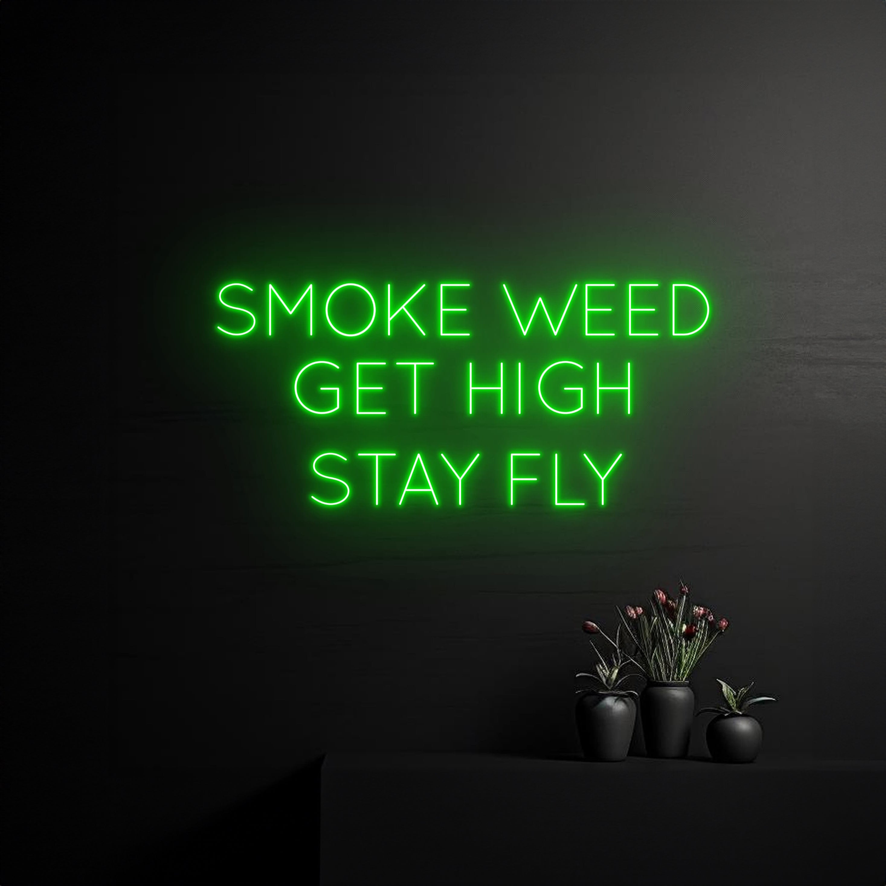 Smoke Weed Get High Stay Fly Neon Sign | Shineneon