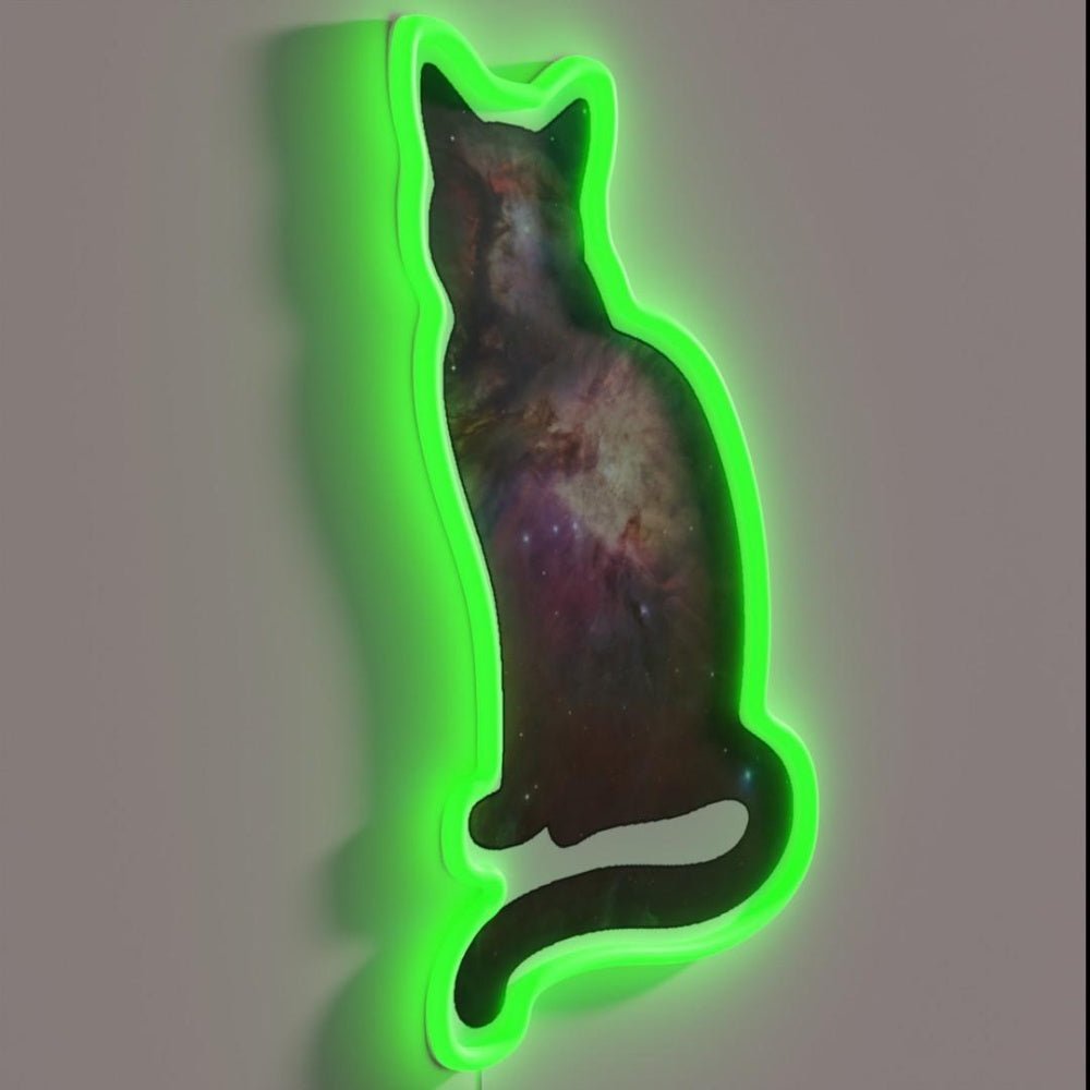 Space Cat Rgb Led Neon Sign - Shineneon