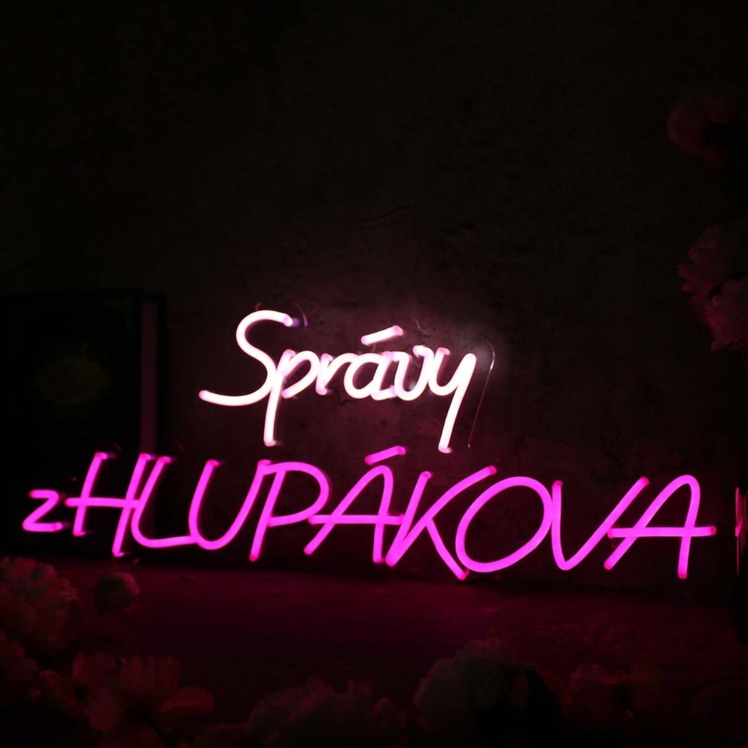 Spravy Zhlupakova Led Neon Sign - Shineneon