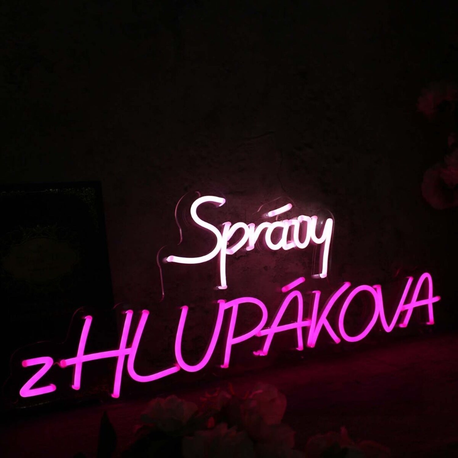 Spravy Zhlupakova Led Neon Sign - Shineneon