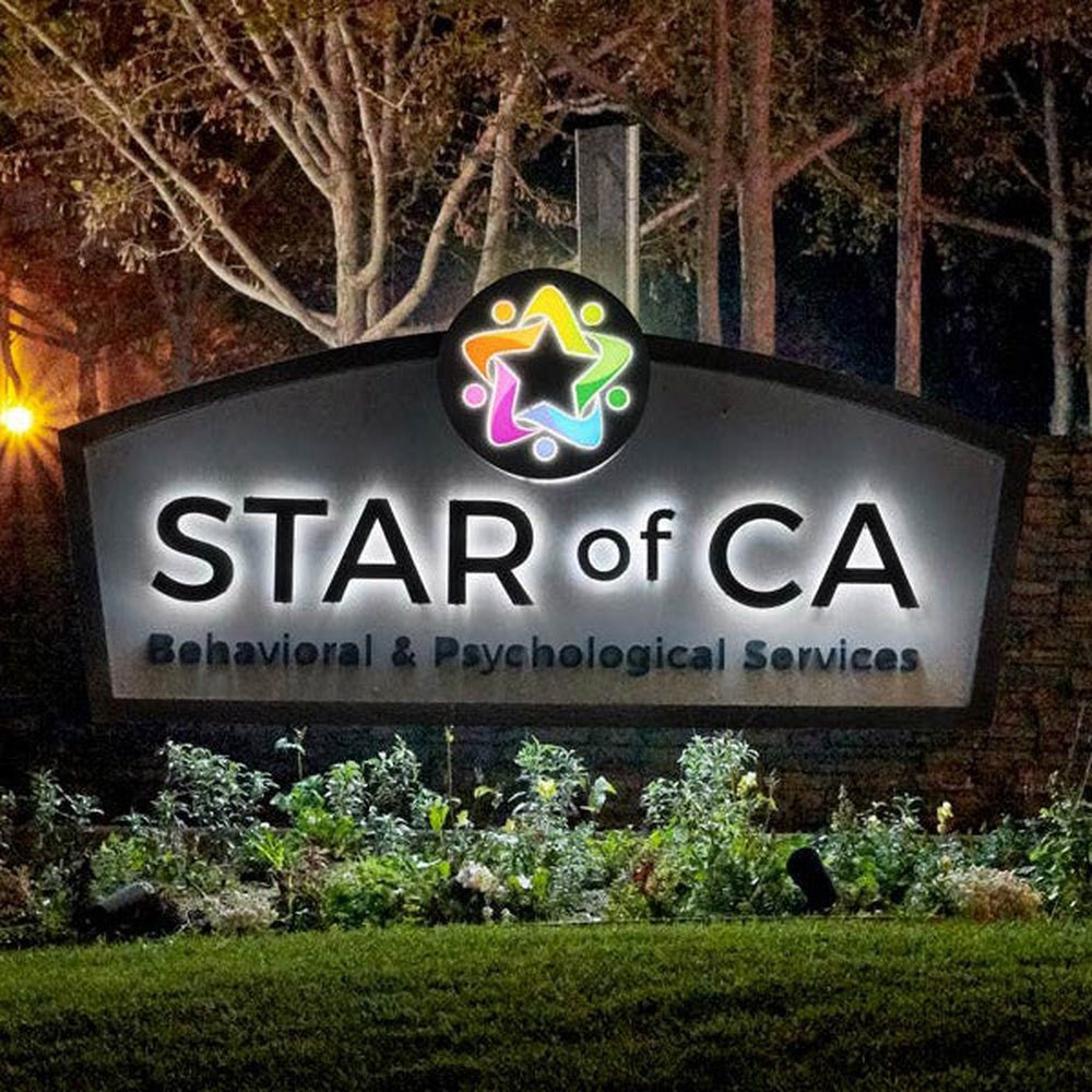 Star Of Ca 3D Backlit Channel Letters Led Light Sign - Shineneon