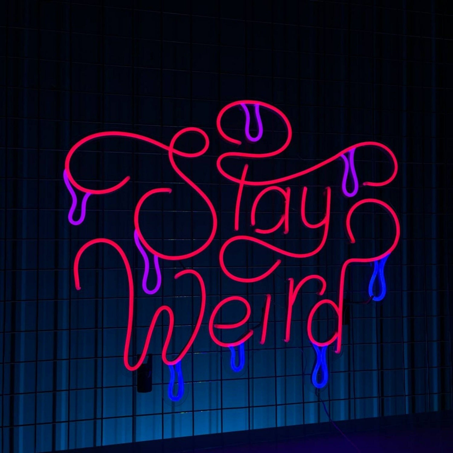 Stay Weird Led Neon Sign Custom Stay Weird Text Quote Neon Led Sign | Shineneon