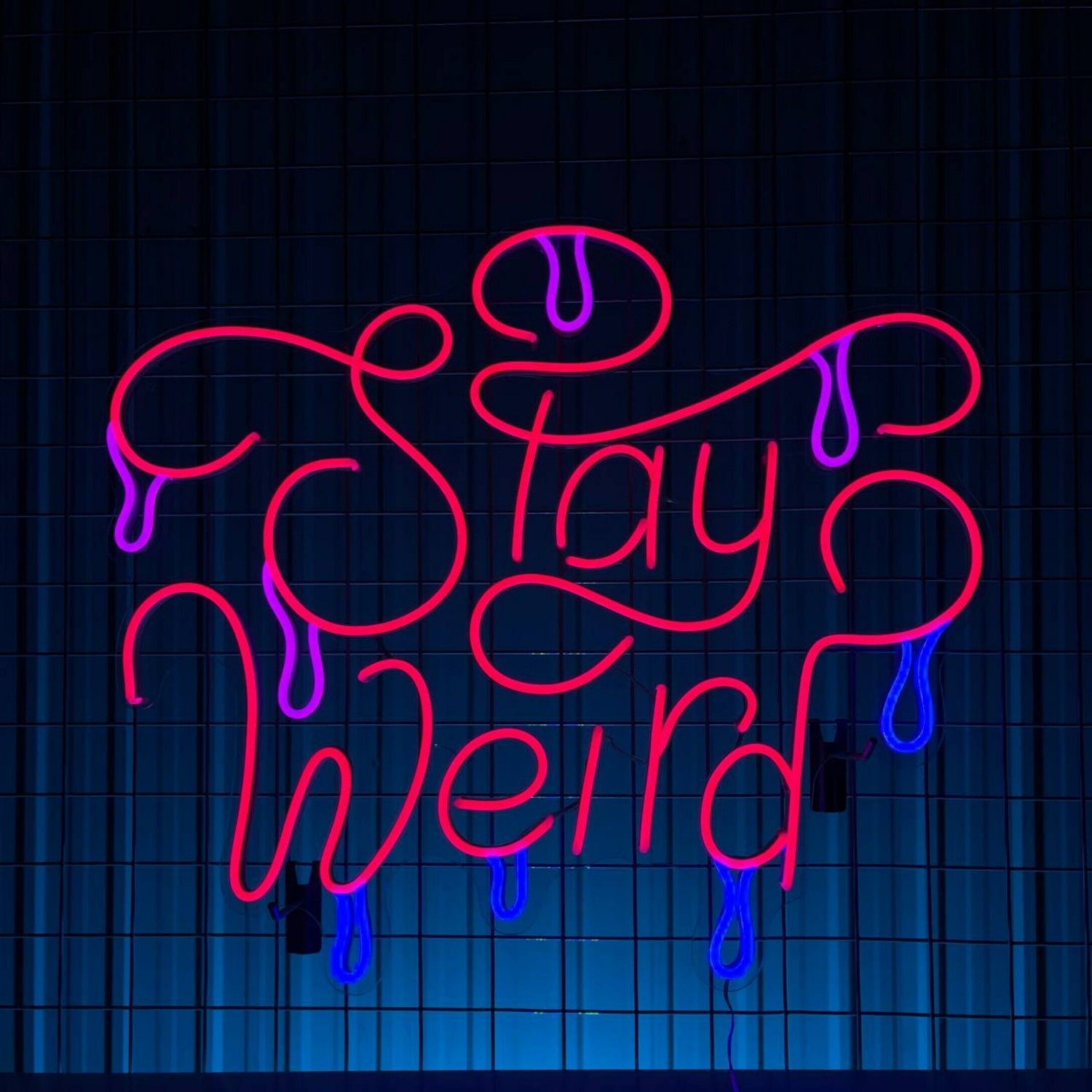 Stay Weird Led Neon Sign Custom Stay Weird Text Quote Neon Led Sign | Shineneon
