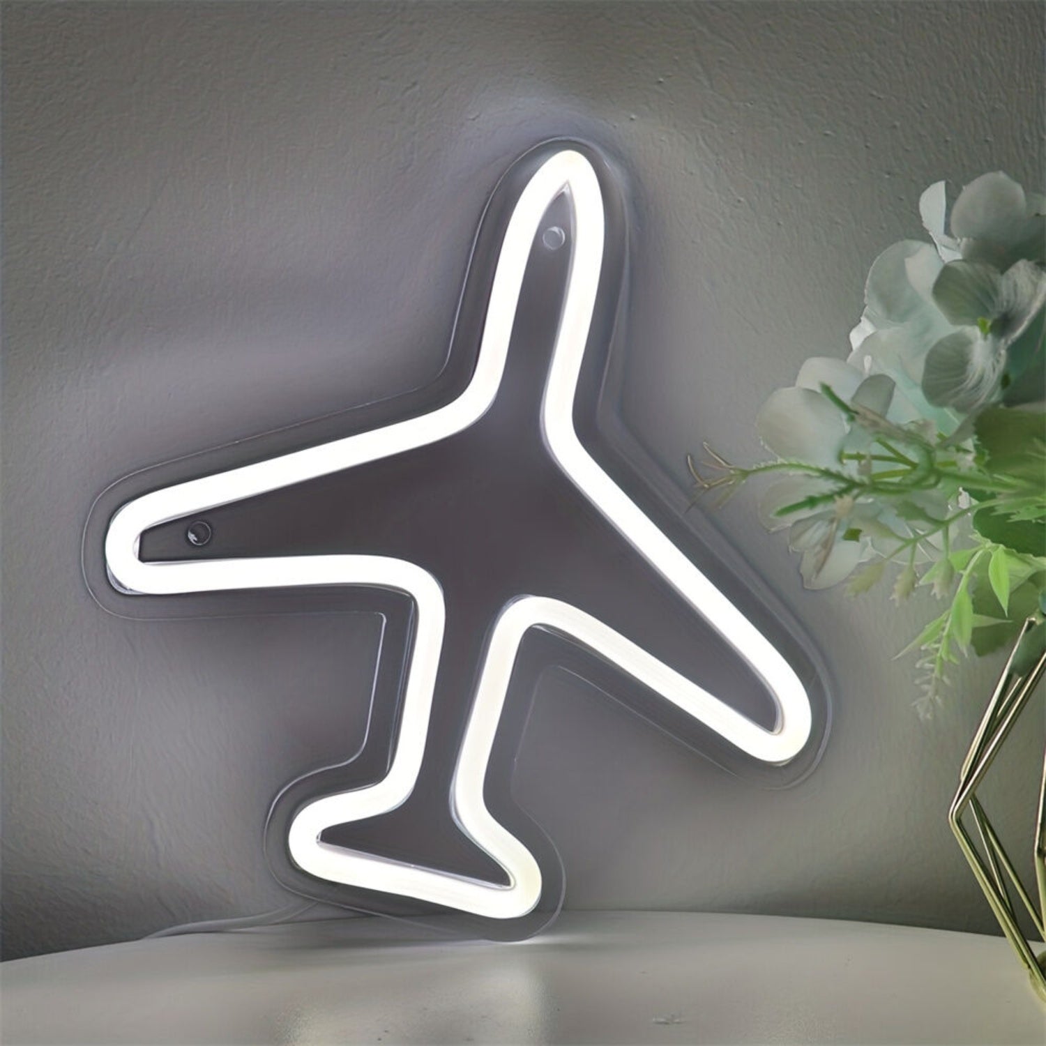 Storefront Versatile Plane Wall Led Neon Sign - Shineneon