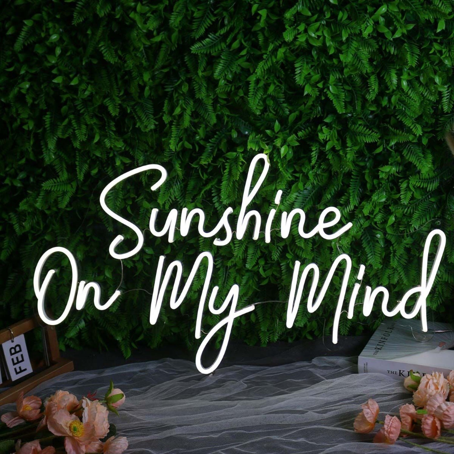 Sunshine On My Mind White Led Neon Sign - Shineneon