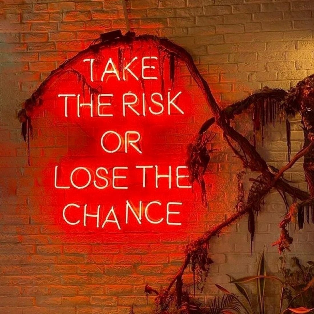 Take The Risk Or Lose The Chance Led Sign Business Neon Signs - Shineneon