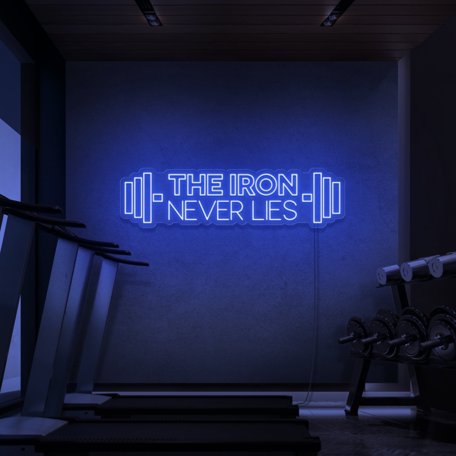 The Iron Does Not Lie Led Neon Signs - Shineneon