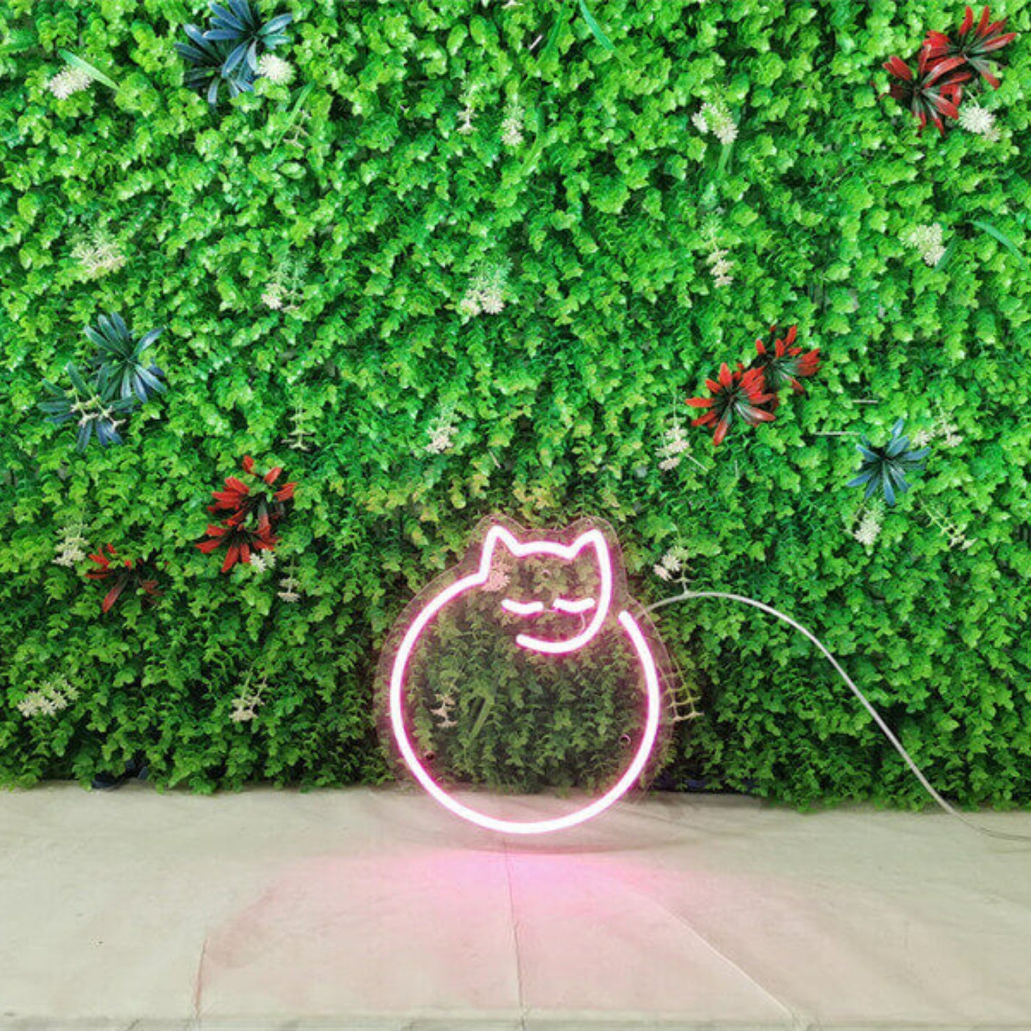 The Mini Cat Led Neon Sign | Shineneon