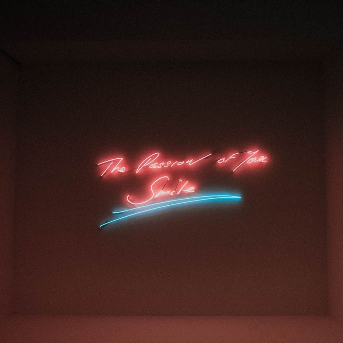 The Passion Of Your Smile Led Sign Business Neon Sign - Shineneon