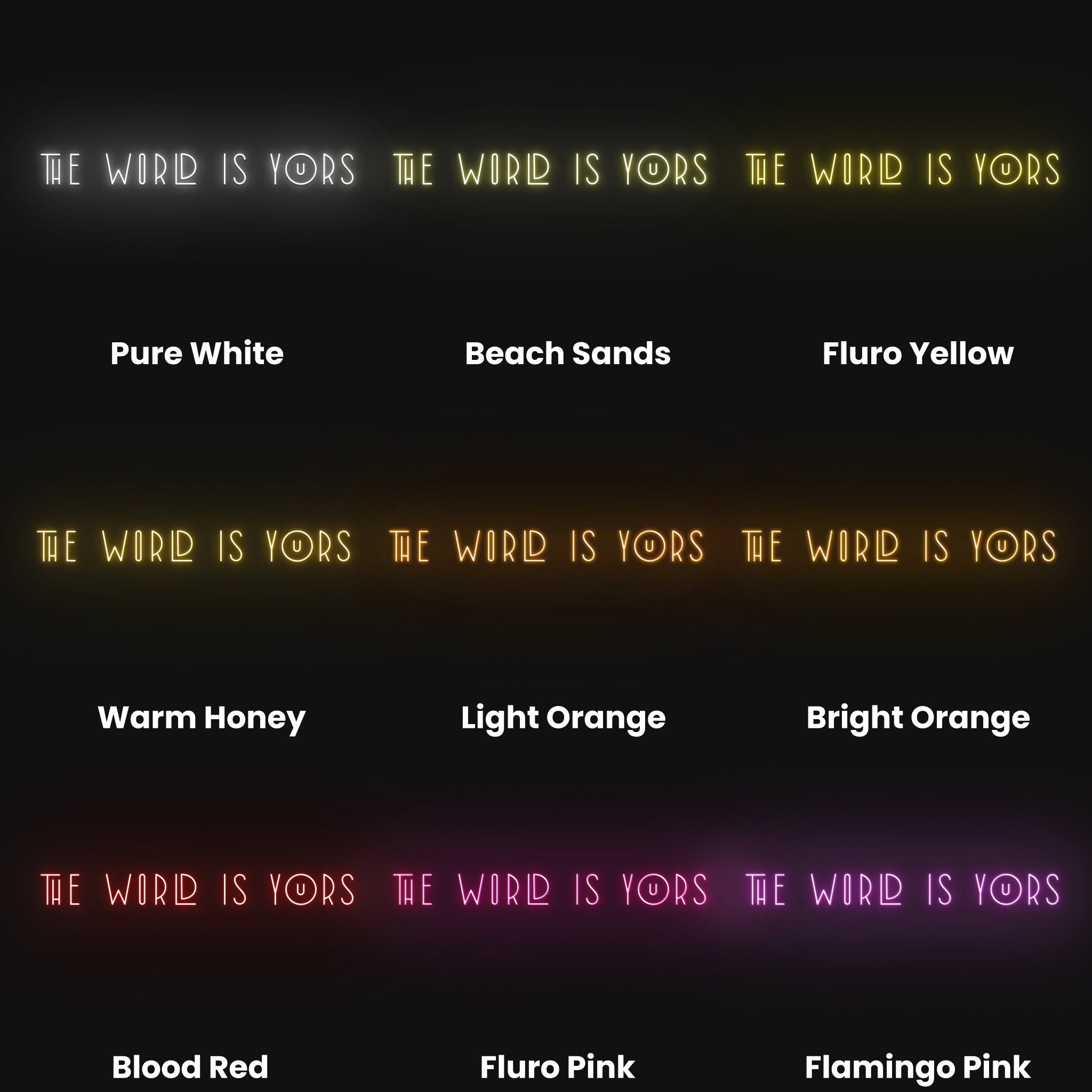 The World Is Yours Led Neon Sign | Shineneon