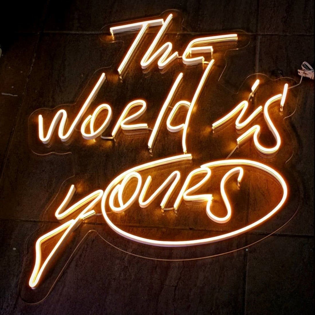 The World Is Yours Led Sign Business Neon Sign Wall Decor - Shineneon