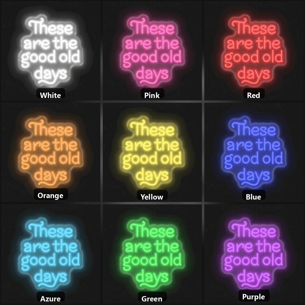 These Are The Good Old Days Block Letters Vintage LED Neon Sign - Shineneon