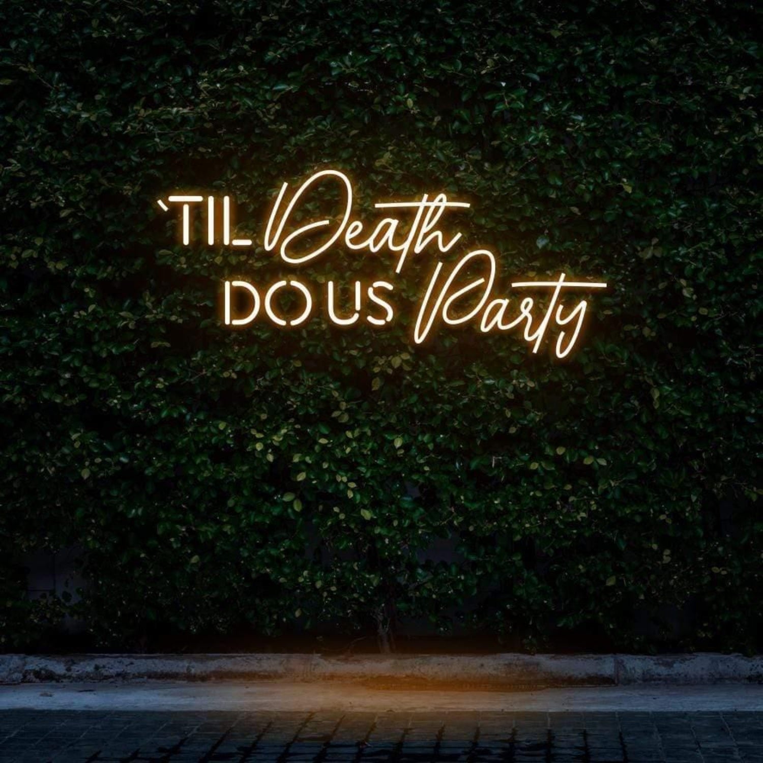 Til Death Do Us Party Led Neon Sign For Outdoor Theme Party Decor | Shineneon