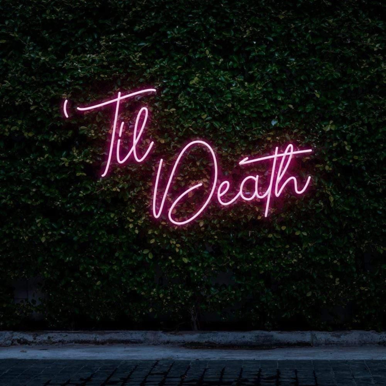 Til Death Pink Cursive Script Led Neon Sign For Botanical Wall Decor ...