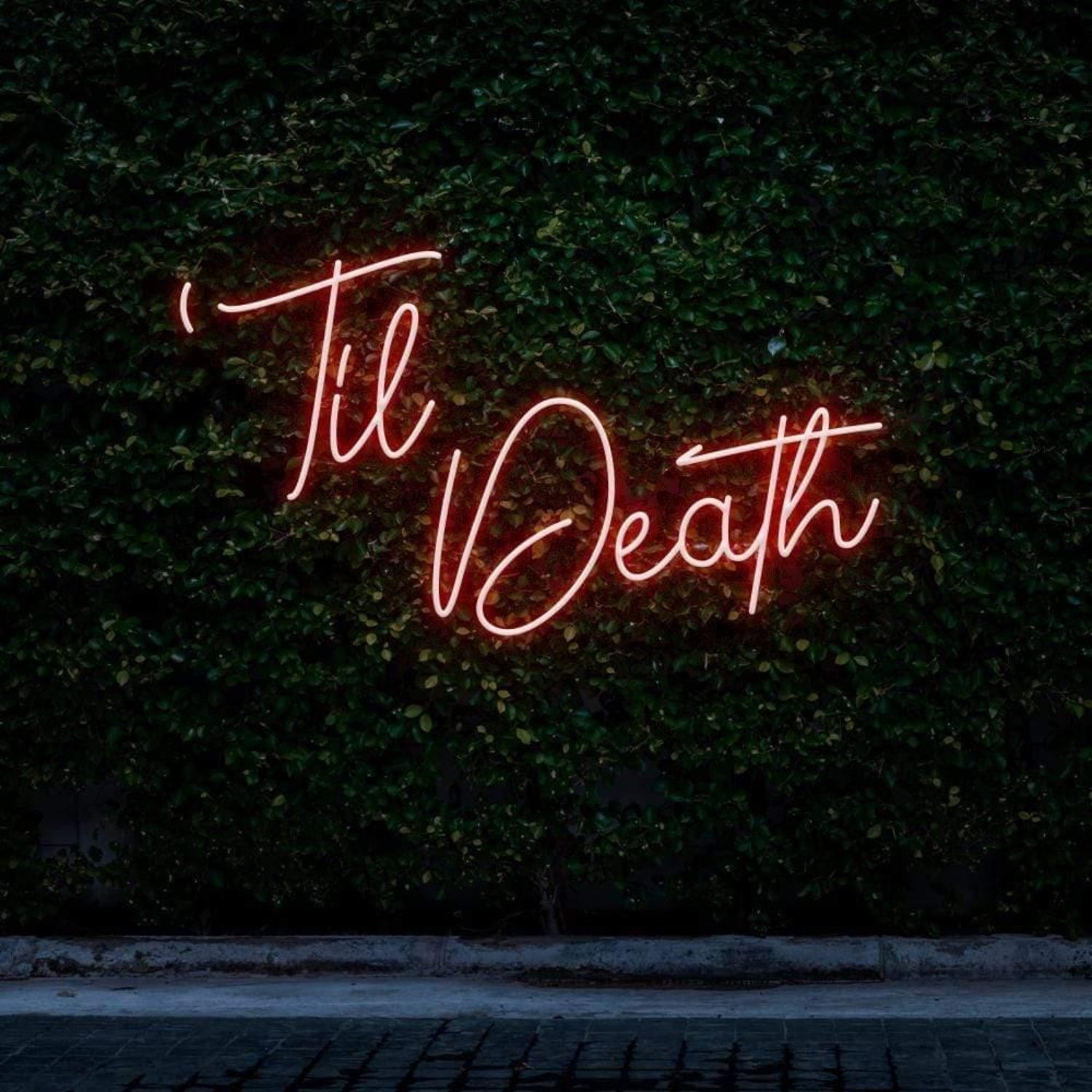 Til Death Pink Cursive Script Led Neon Sign For Botanical Wall Decor | Shineneon