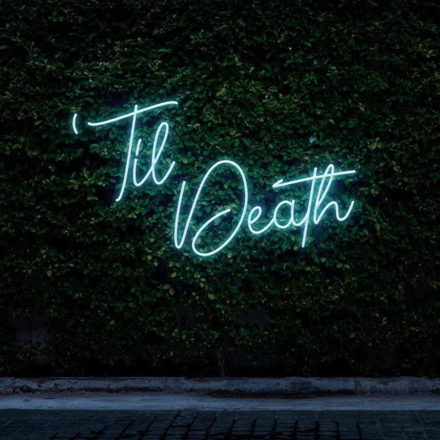 Til Death Pink Cursive Script Led Neon Sign For Botanical Wall Decor | Shineneon