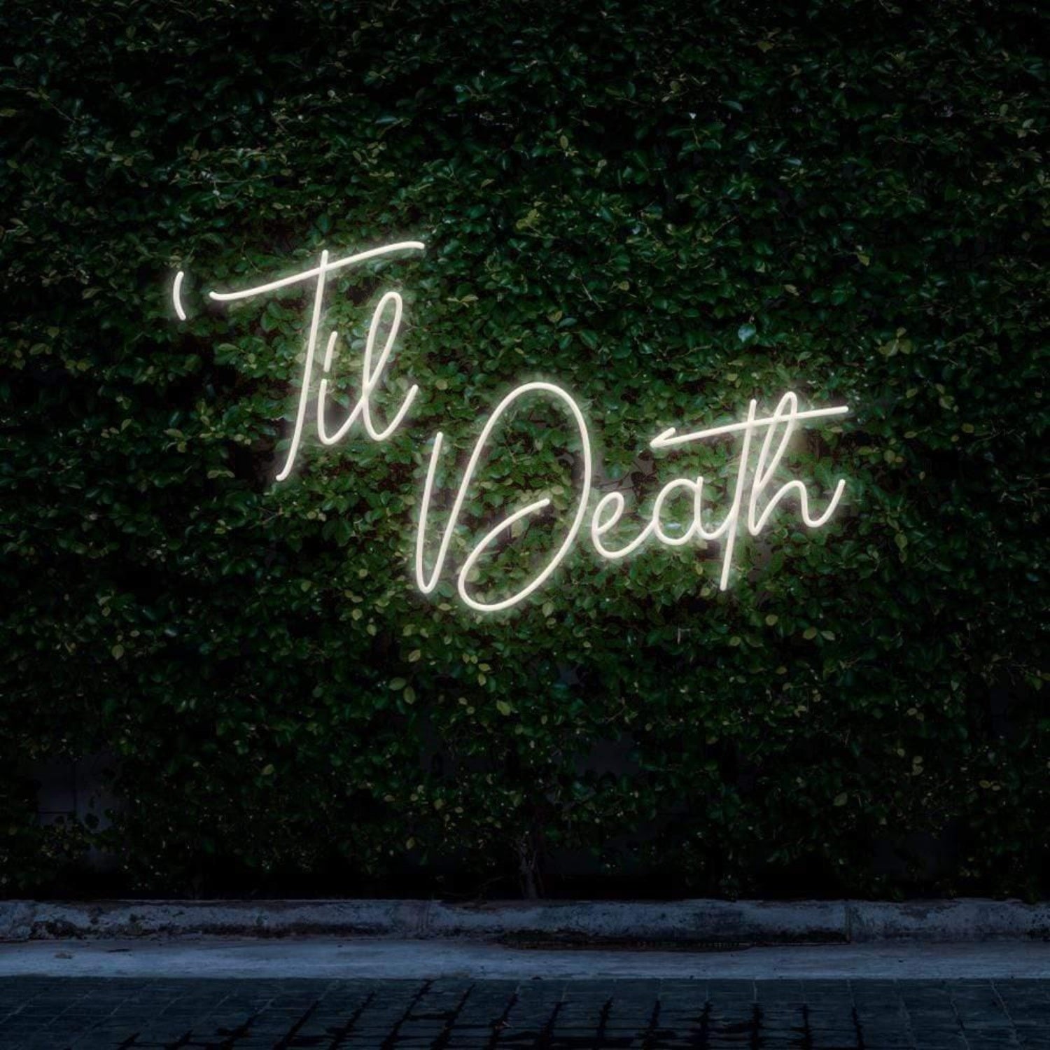 Til Death Pink Cursive Script Led Neon Sign For Botanical Wall Decor | Shineneon