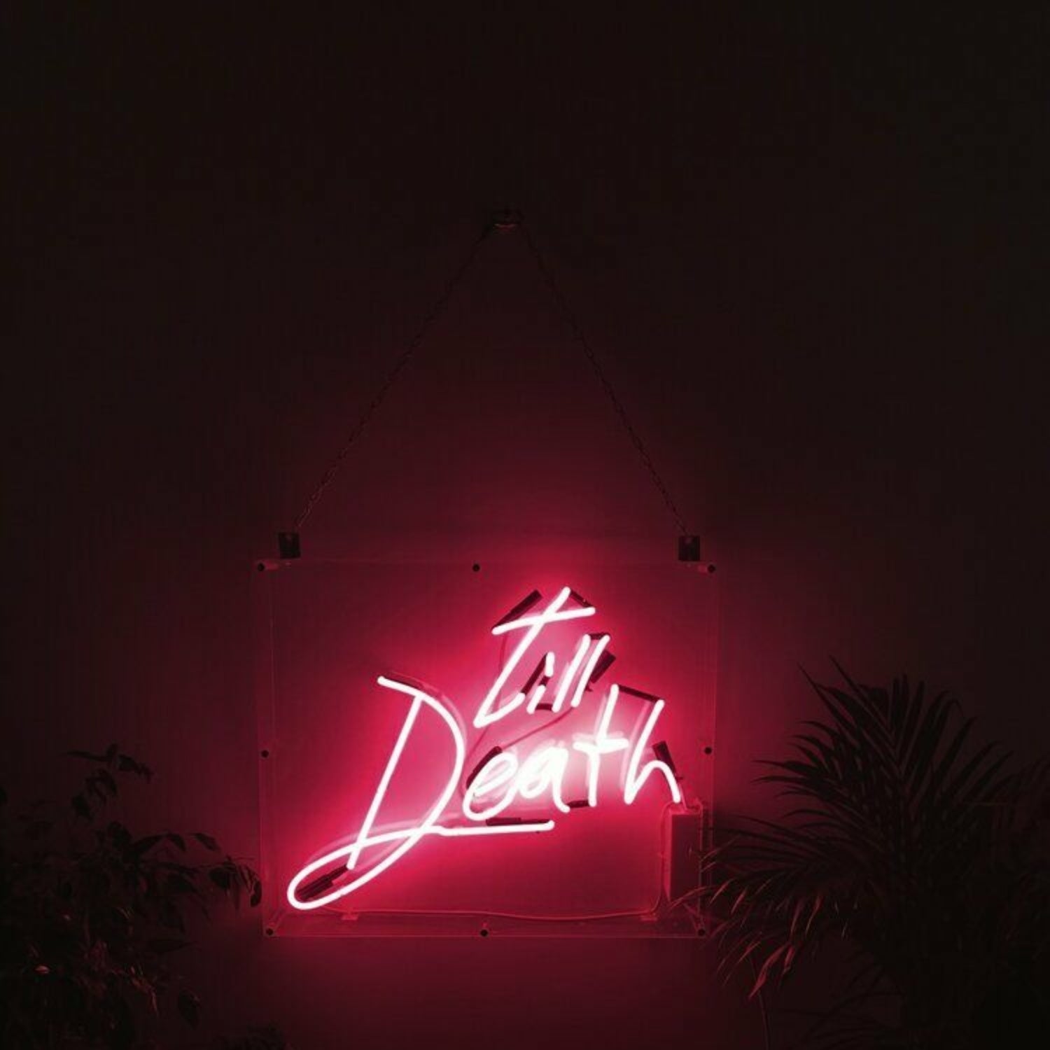 Til Death Weddign Neon Sign | Shineneon