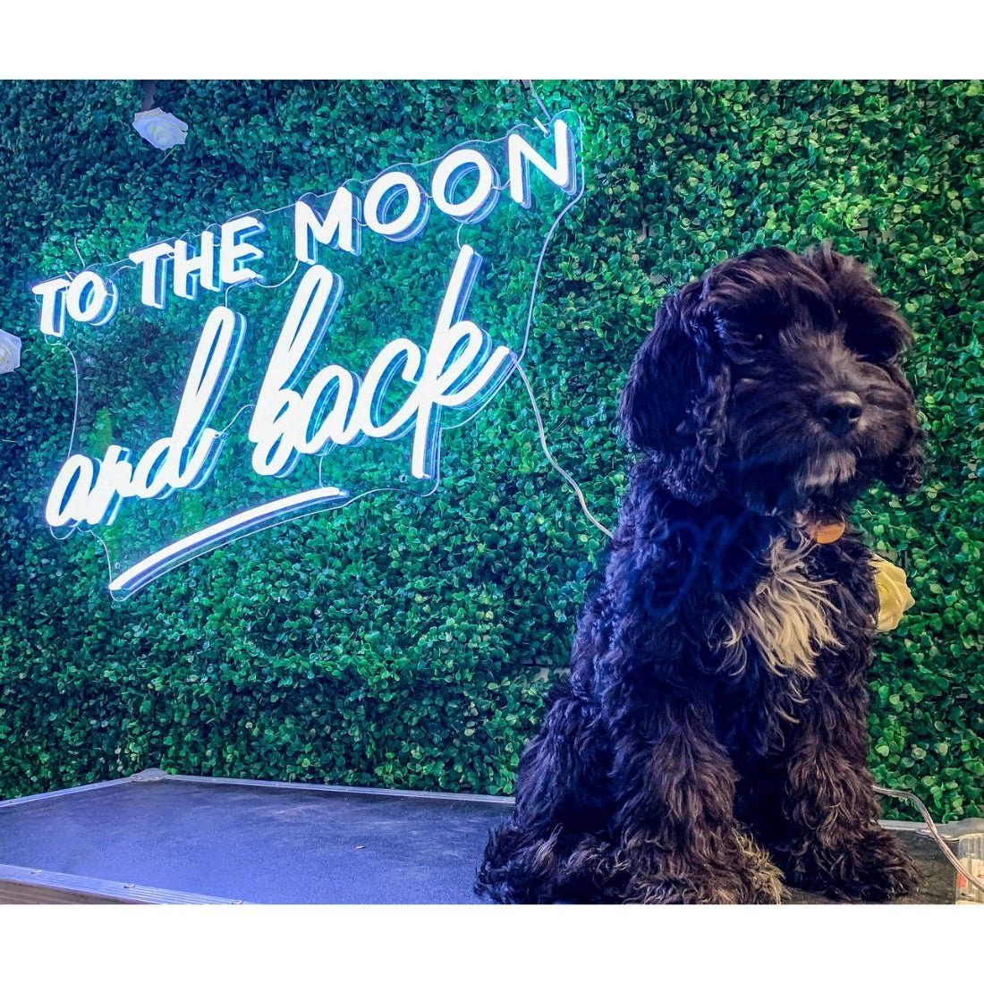 To The Moon And Back Led Sign Business Neon Sign Wall Decor - Shineneon