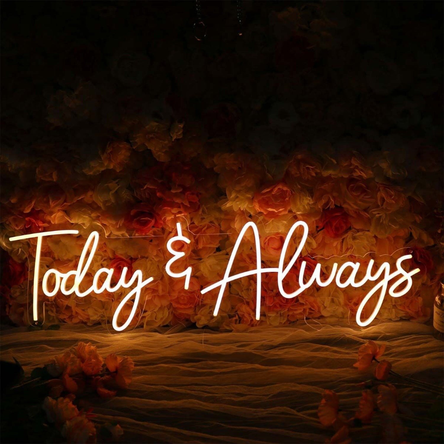 Today And Always Led Neon Sign For Inspirational And Positive Spaces | Shineneon