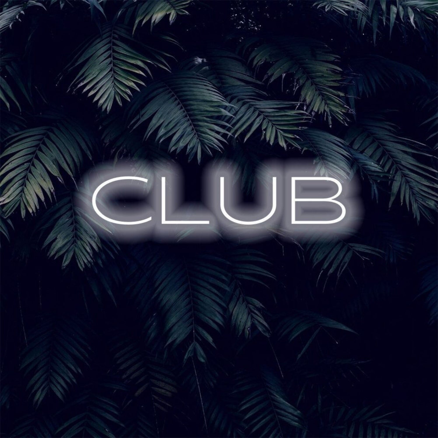 Transform Any Space Led Club Bar Neon Sign | Shineneon