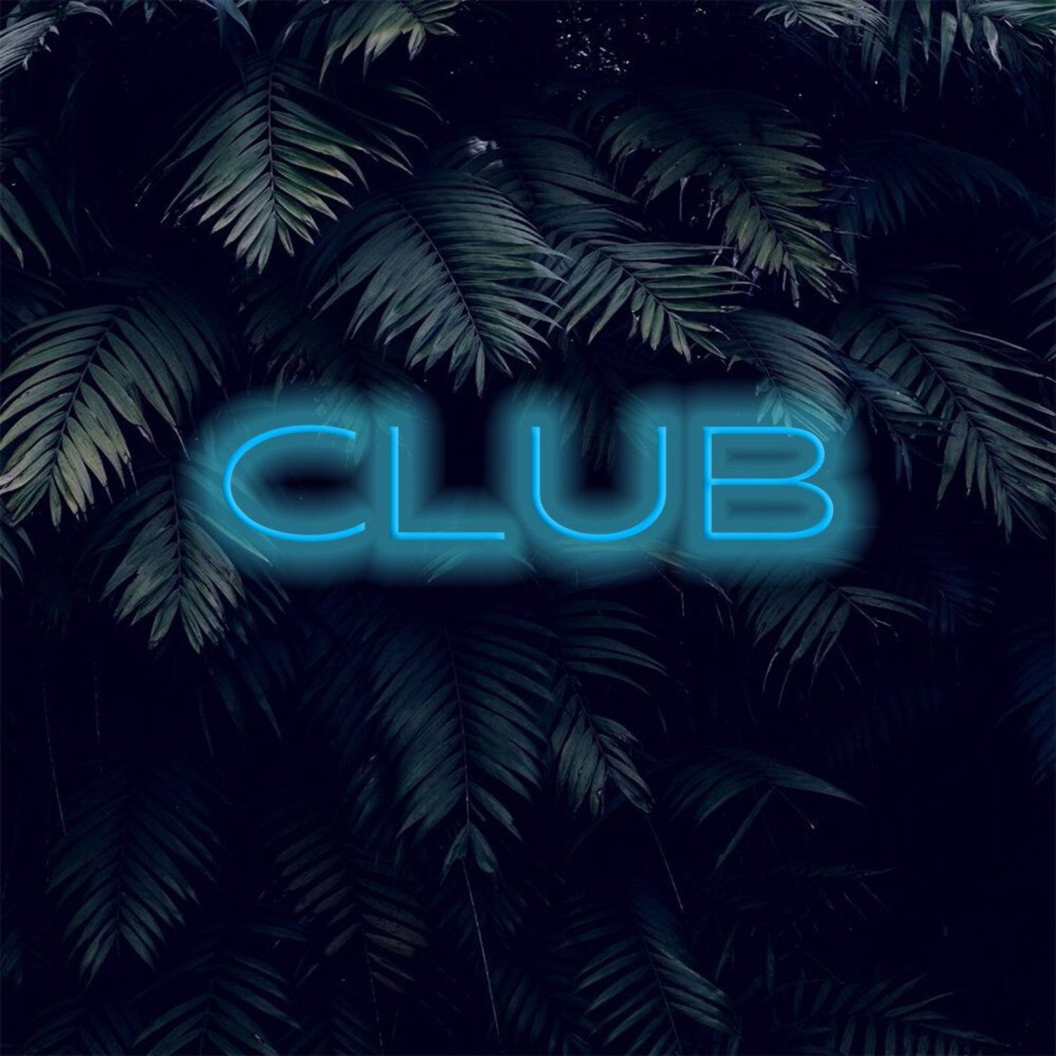 Transform Any Space Led Club Bar Neon Sign | Shineneon