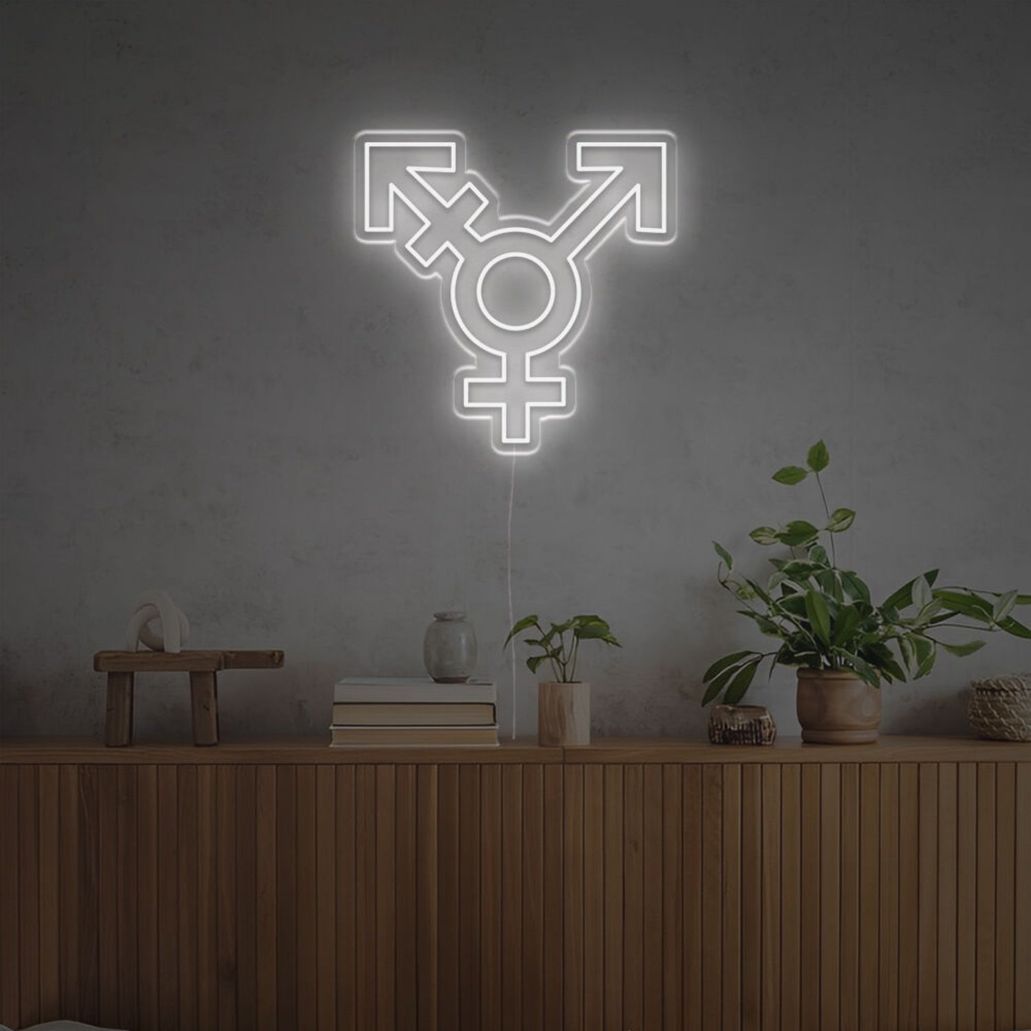 Transgender Led Neon Sign | Shineneon