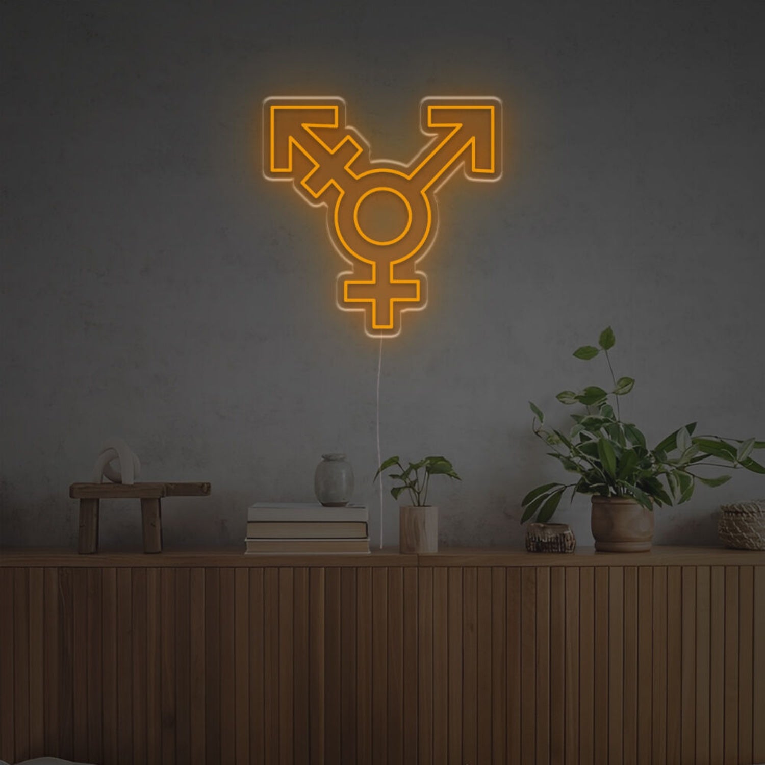 Transgender Led Neon Sign | Shineneon