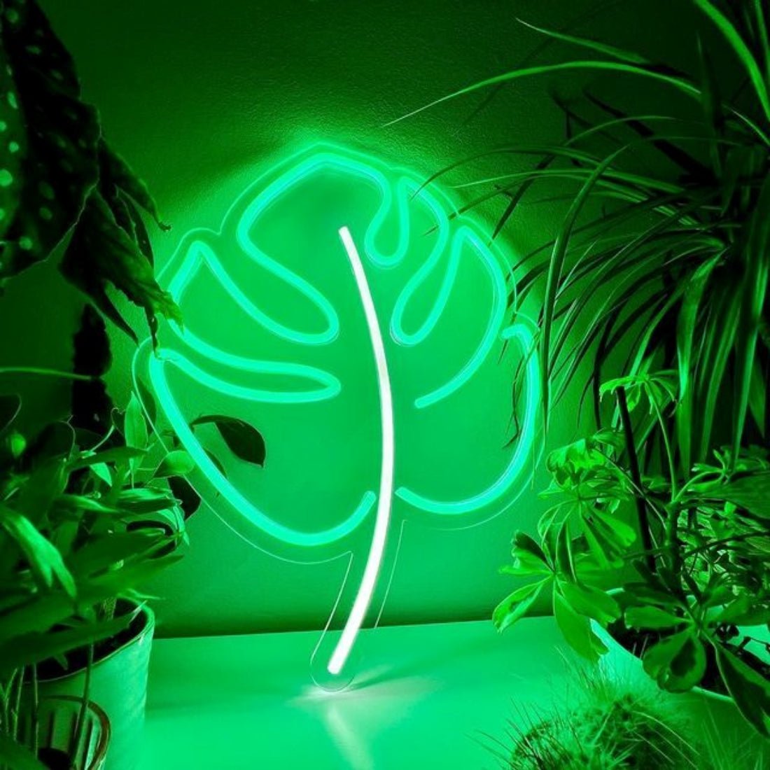 Tropical Leaf Neon Signs Neon Lights Led Neon Signs - Shineneon