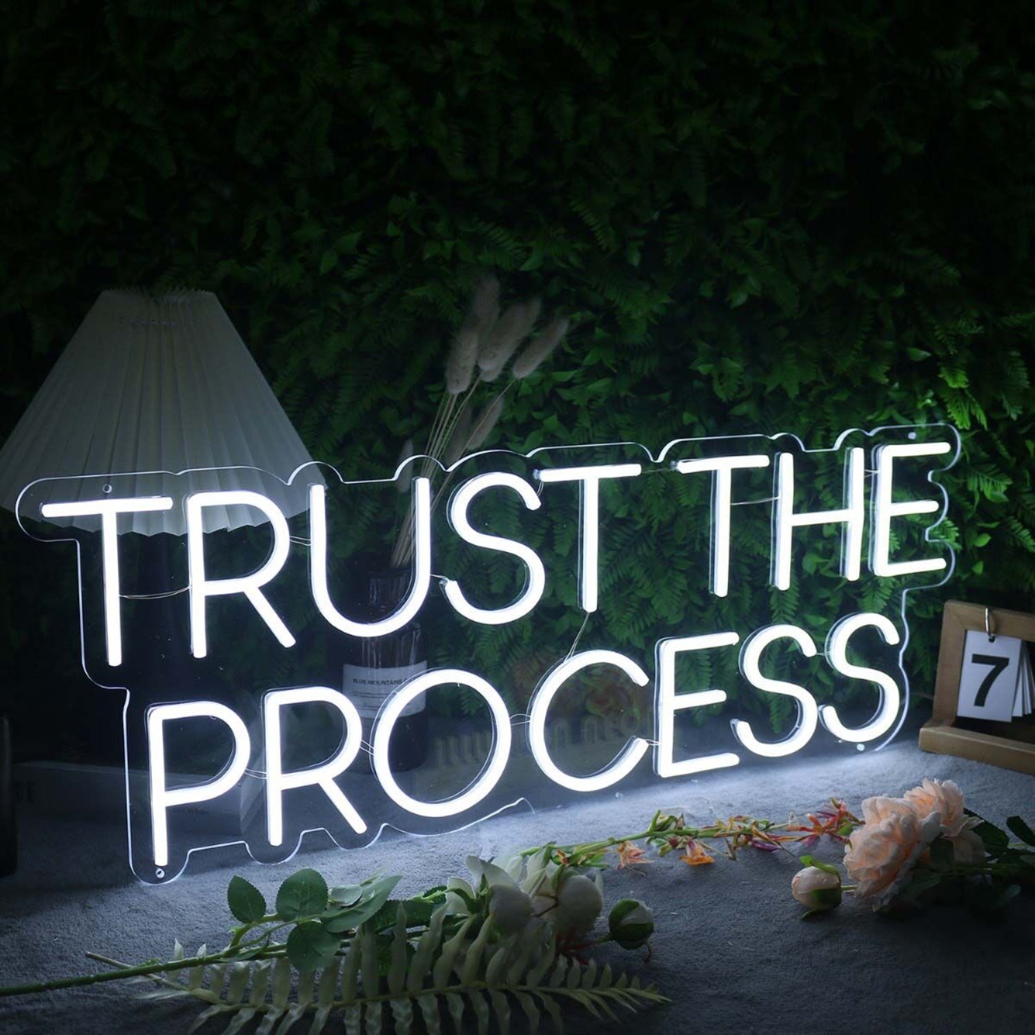 Trust The Process White Led Neon Sign | Shineneon