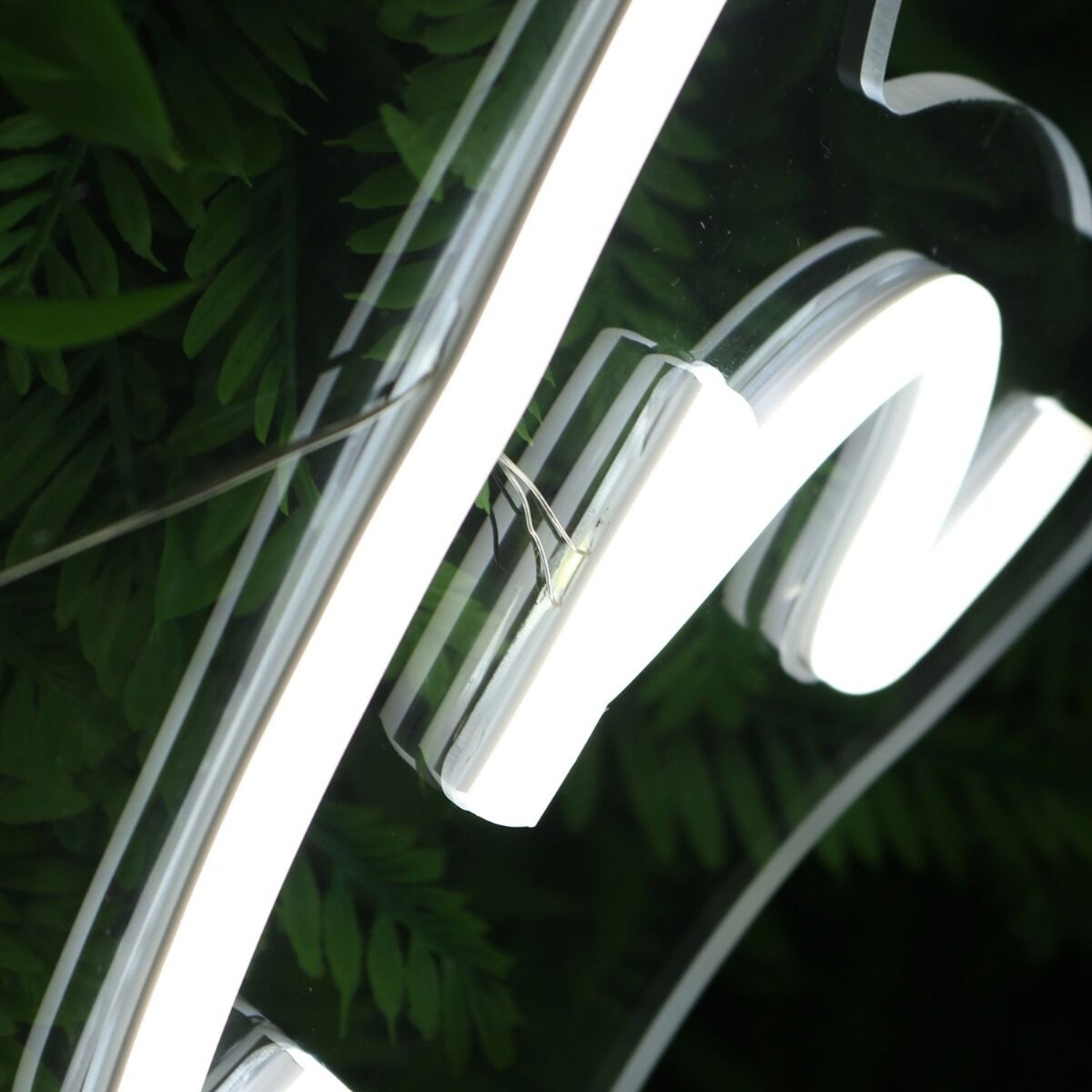 Turilight In White Led Neon Sign - Shineneon