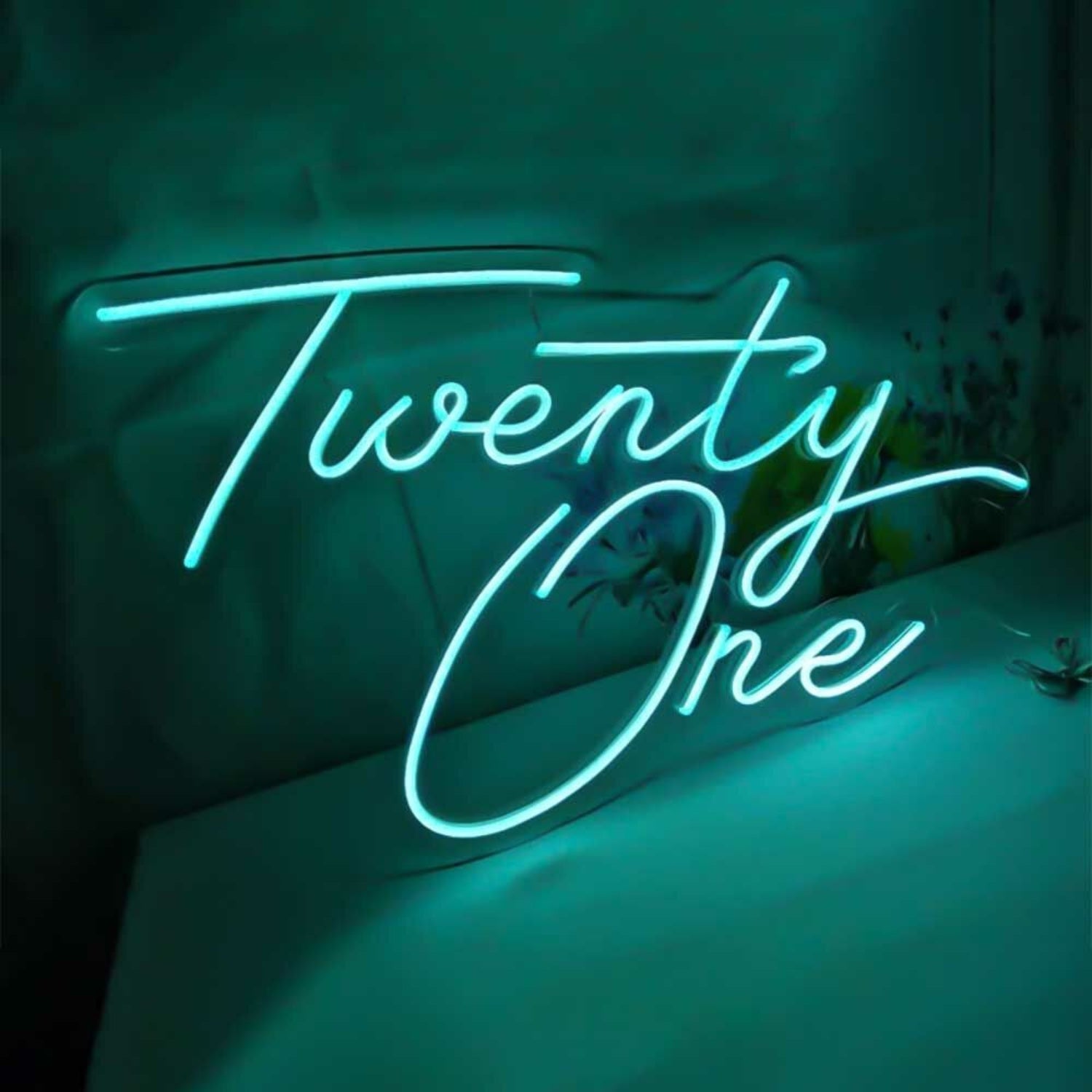 Twenty One Neon Sign | Shineneon