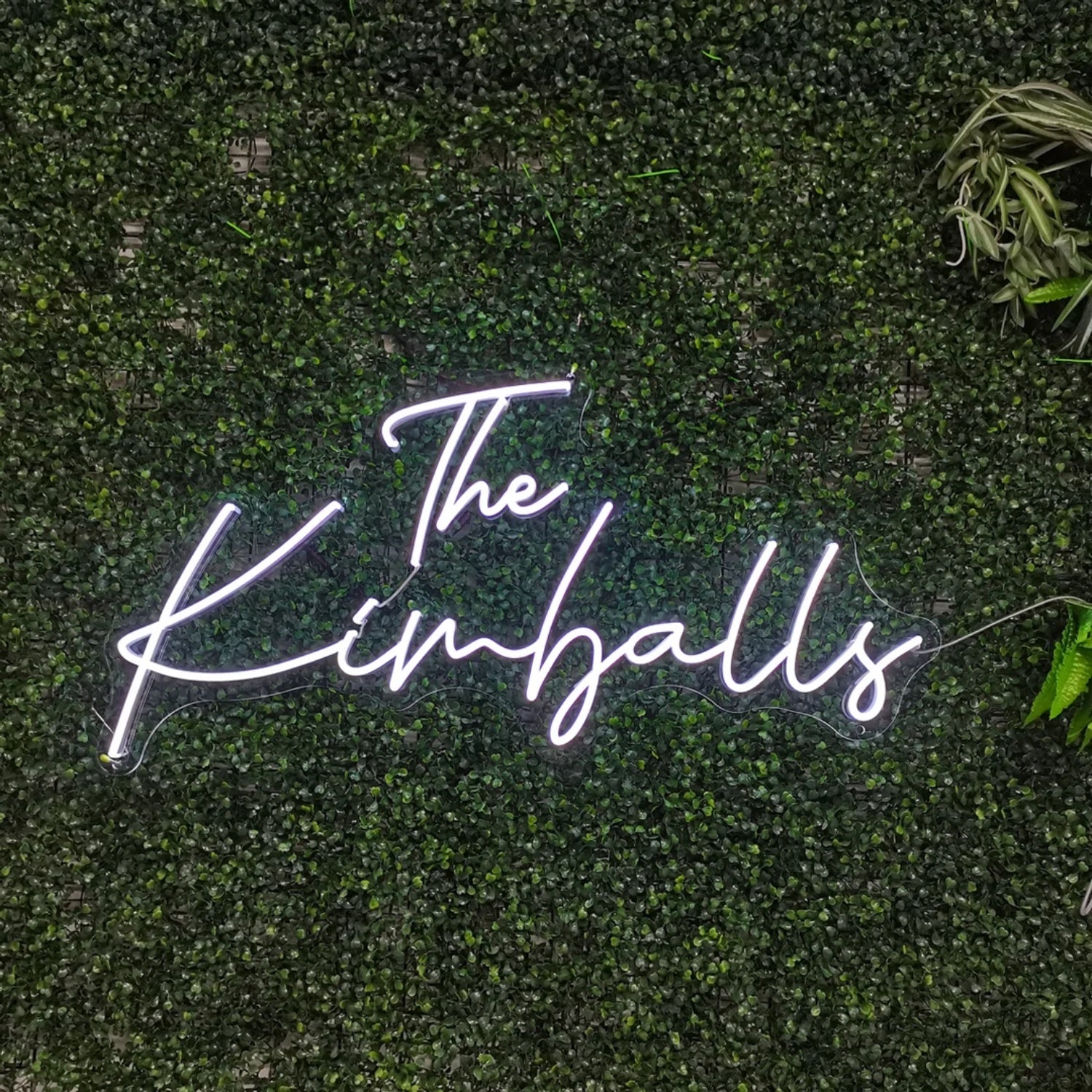 Two Lines Wedding Led Neon Sign With Your Family Name | Shineneon