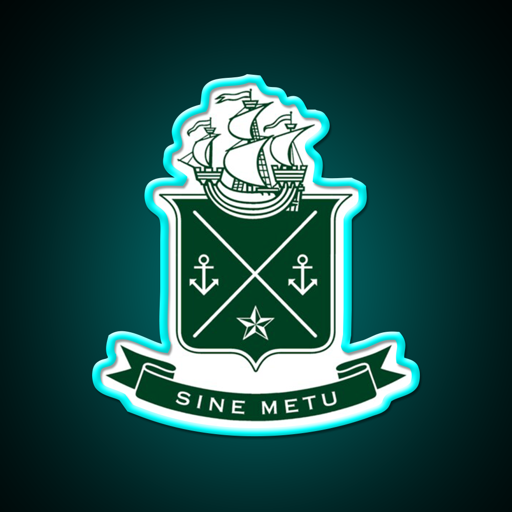 Tyutryerter Lt Lt Gt Gt Jameson Irish Whiskey Drink Bar Led Neon Sign Rgb Color