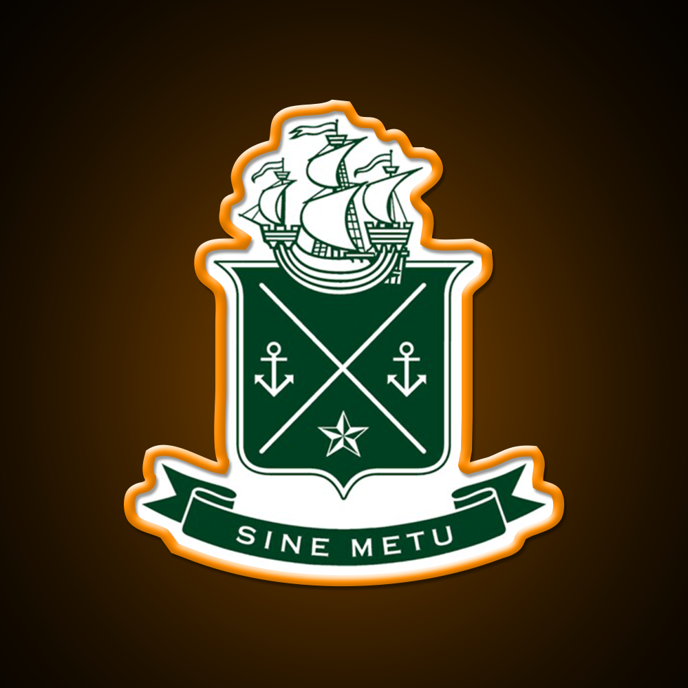 Tyutryerter Lt Lt Gt Gt Jameson Irish Whiskey Drink Bar Led Neon Sign Rgb Color