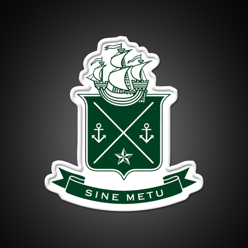 Tyutryerter Lt Lt Gt Gt Jameson Irish Whiskey Drink Bar Led Neon Sign Rgb Color