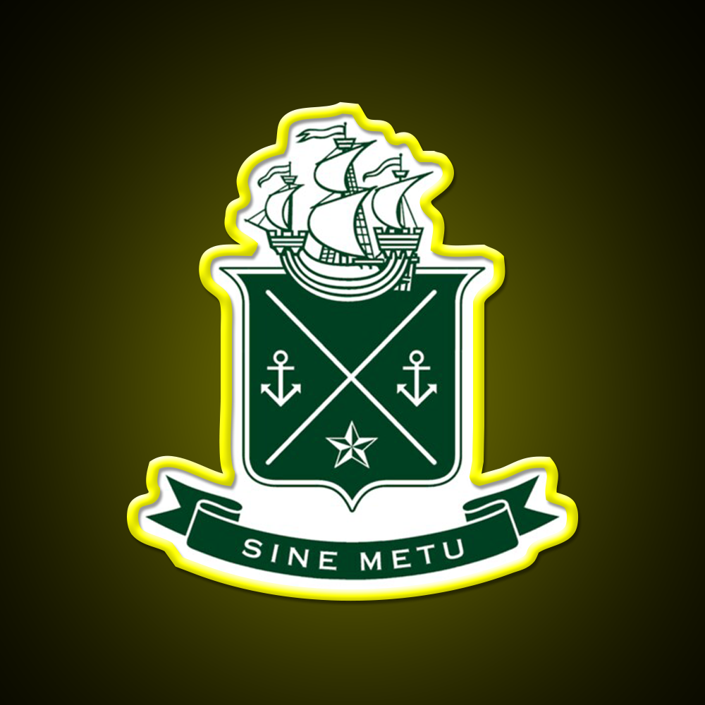 Tyutryerter Lt Lt Gt Gt Jameson Irish Whiskey Drink Bar Led Neon Sign Rgb Color