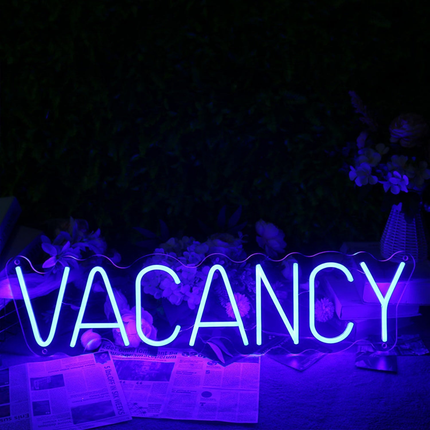 Vacancy Led Neon Sign For Hotels And Hospitality Spaces | Shineneon