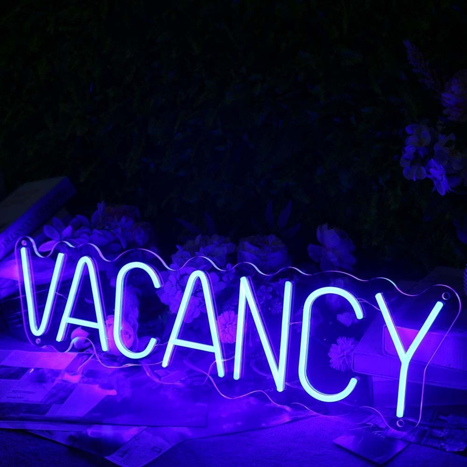Vacancy Led Neon Sign For Hotels And Hospitality Spaces | Shineneon