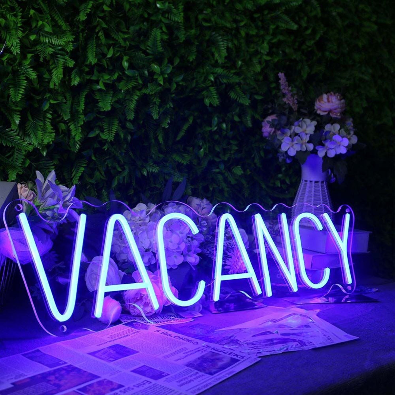 Vacancy Led Neon Sign For Hotels And Hospitality Spaces | Shineneon