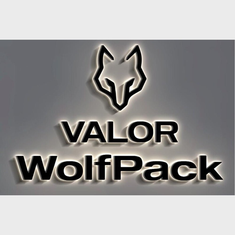 Valor Wolfpack 3D Backlit Channel Letters Led Light Sign - Shineneon